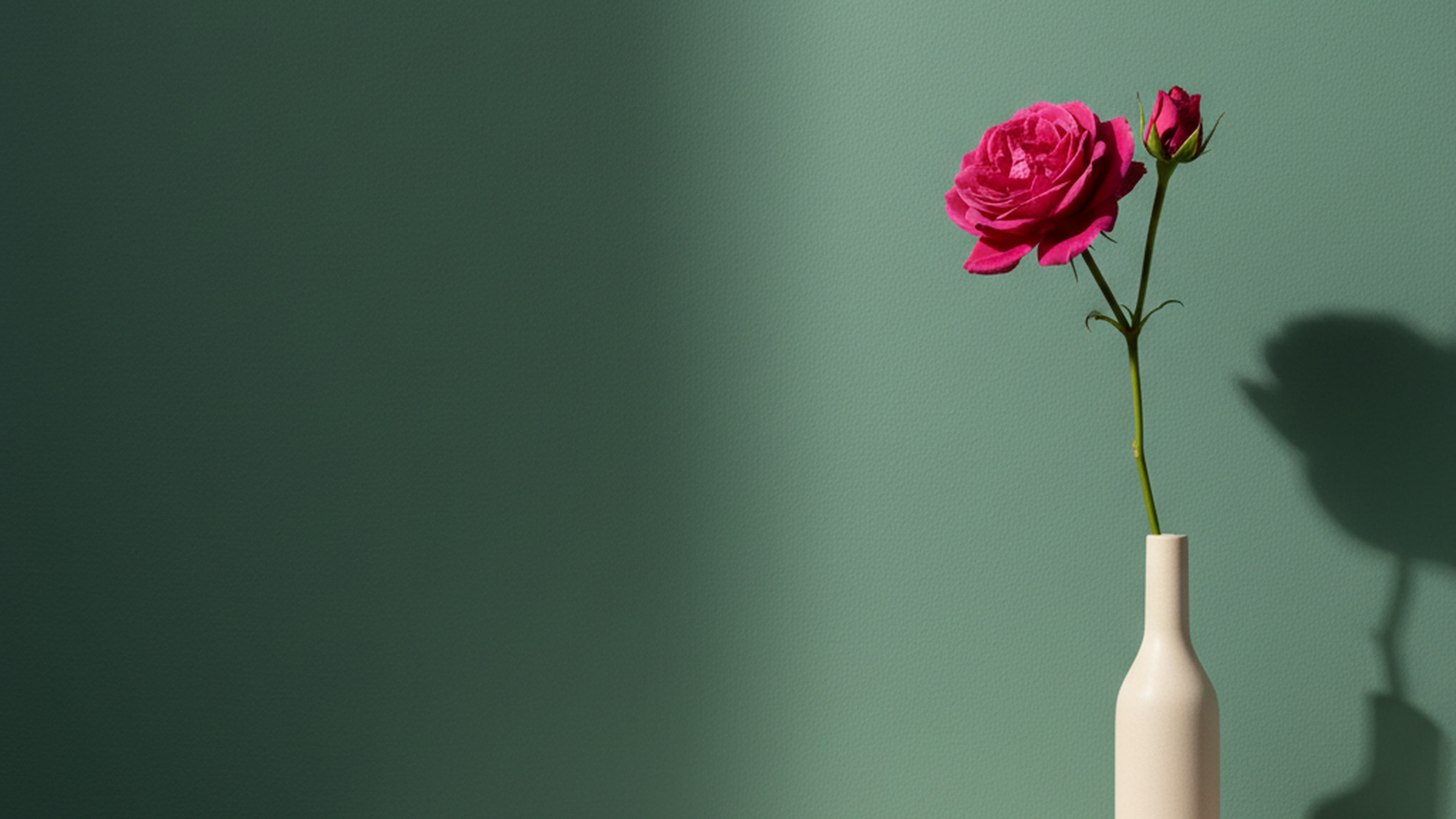 Rosa magenta minimalista estilo Aesop sobre pared sage-emerald · editorial · 16:9