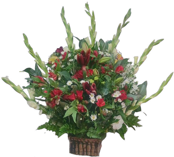 CE-08 · Arreglo — Florería Mely Flor