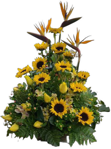 CE-26 · Arreglo — Florería Mely Flor