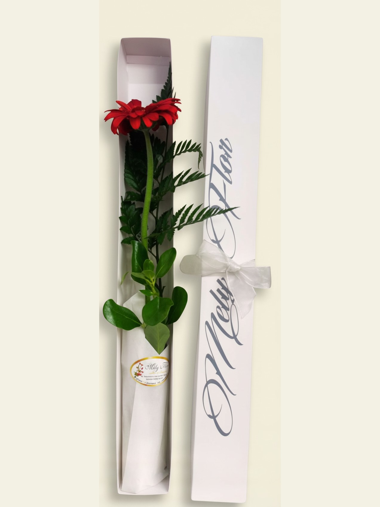 Gerbera en caja · CE-41 — Florería Mely Flor